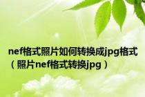 nef格式照片如何转换成jpg格式（照片nef格式转换jpg）