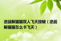 逆战躲猫猫双人飞天按键（逆战躲猫猫怎么卡飞天）