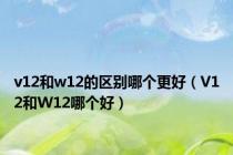 v12和w12的区别哪个更好（V12和W12哪个好）