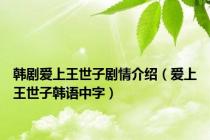 韩剧爱上王世子剧情介绍（爱上王世子韩语中字）