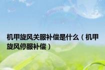 机甲旋风关服补偿是什么（机甲旋风停服补偿）