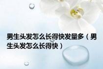 男生头发怎么长得快发量多（男生头发怎么长得快）