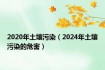 2020年土壤污染（2024年土壤污染的危害）