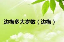 边梅多大岁数（边梅）