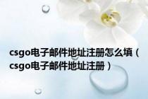 csgo电子邮件地址注册怎么填（csgo电子邮件地址注册）