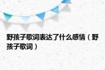 野孩子歌词表达了什么感情（野孩子歌词）