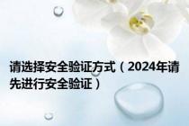 请选择安全验证方式（2024年请先进行安全验证）