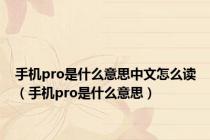 手机pro是什么意思中文怎么读（手机pro是什么意思）