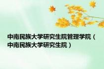中南民族大学研究生院管理学院（中南民族大学研究生院）