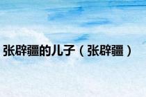 张辟疆的儿子（张辟疆）