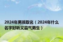 2024年男孩取名（2024年什么名字好听又霸气男生）