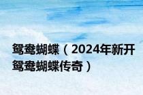 鸳鸯蝴蝶（2024年新开鸳鸯蝴蝶传奇）