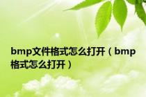 bmp文件格式怎么打开（bmp格式怎么打开）
