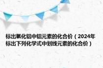 标出氧化铝中铝元素的化合价（2024年标出下列化学式中划线元素的化合价）