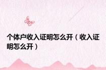 个体户收入证明怎么开（收入证明怎么开）