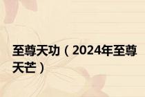 至尊天功（2024年至尊天芒）