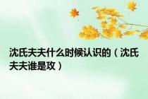 沈氏夫夫什么时候认识的（沈氏夫夫谁是攻）
