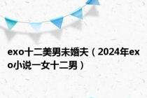 exo十二美男未婚夫（2024年exo小说一女十二男）