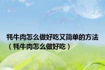 牦牛肉怎么做好吃又简单的方法（牦牛肉怎么做好吃）