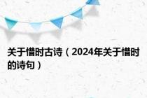 关于惜时古诗（2024年关于惜时的诗句）