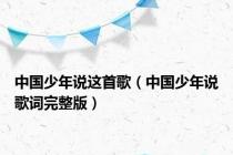 中国少年说这首歌（中国少年说歌词完整版）