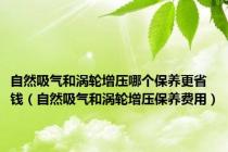 自然吸气和涡轮增压哪个保养更省钱（自然吸气和涡轮增压保养费用）