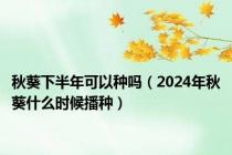 秋葵下半年可以种吗（2024年秋葵什么时候播种）