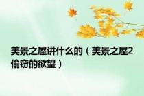 美景之屋讲什么的（美景之屋2偷窃的欲望）