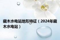 藏木水电站地形特征（2024年藏木水电站）
