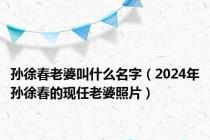 孙徐春老婆叫什么名字（2024年孙徐春的现任老婆照片）