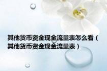 其他货币资金现金流量表怎么看（其他货币资金现金流量表）