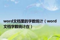 word文档里的字数统计（word文档字数统计在）