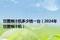 甘蔗榨汁机多少钱一台（2024年甘蔗榨汁机）