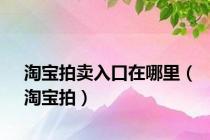 淘宝拍卖入口在哪里（淘宝拍）