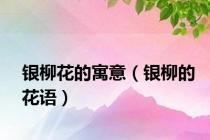 银柳花的寓意（银柳的花语）