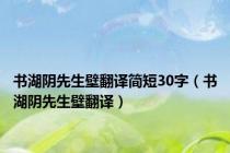 书湖阴先生壁翻译简短30字（书湖阴先生壁翻译）