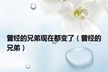 曾经的兄弟现在都变了（曾经的兄弟）
