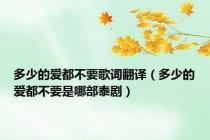 多少的爱都不要歌词翻译（多少的爱都不要是哪部泰剧）