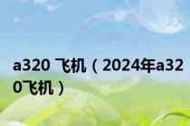 a320 飞机（2024年a320飞机）
