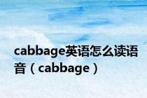 cabbage英语怎么读语音（cabbage）