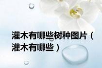 灌木有哪些树种图片（灌木有哪些）