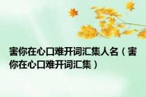 害你在心口难开词汇集人名（害你在心口难开词汇集）