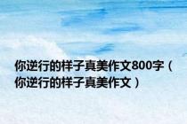 你逆行的样子真美作文800字（你逆行的样子真美作文）