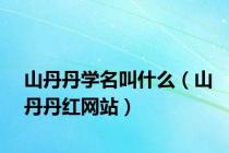 山丹丹学名叫什么（山丹丹红网站）