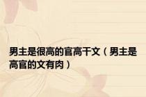 男主是很高的官高干文（男主是高官的文有肉）