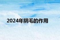 2024年阴毛的作用