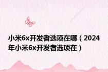 小米6x开发者选项在哪（2024年小米6x开发者选项在）