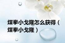 煤拳小戈隆怎么获得（煤拳小戈隆）