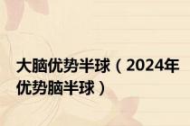 大脑优势半球（2024年优势脑半球）