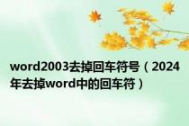 word2003去掉回车符号（2024年去掉word中的回车符）